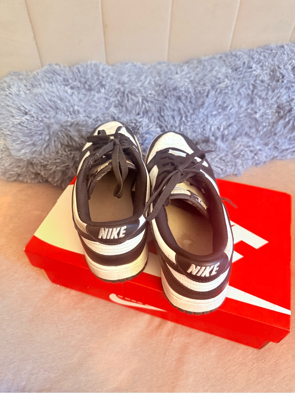 Nike Dunks - Picture 3 of 3